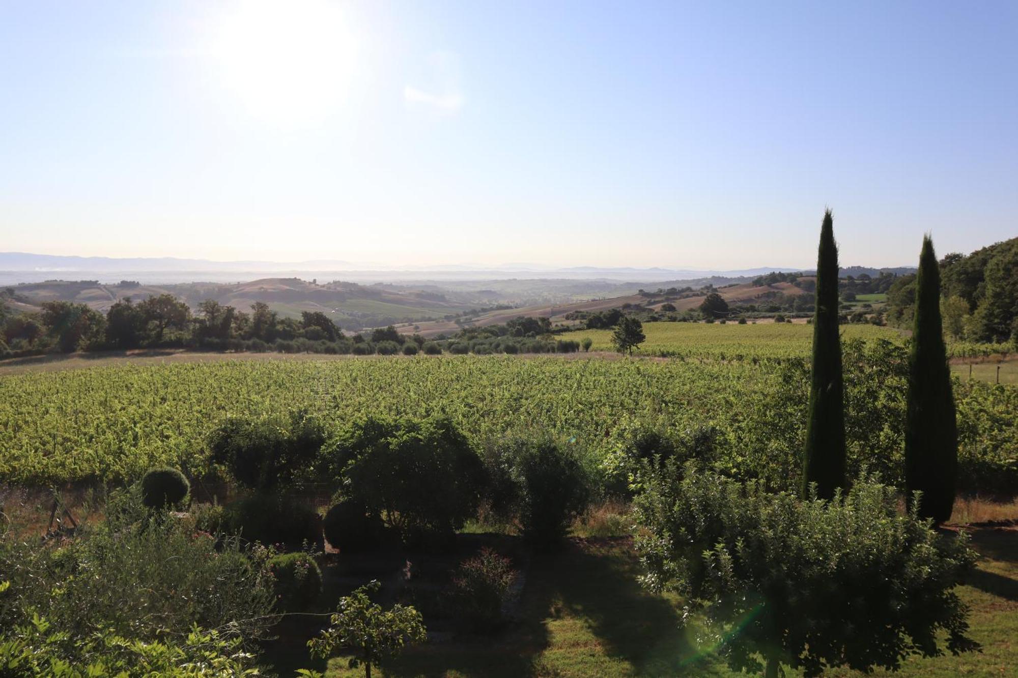 Abbadia Wine Relais Bed & Breakfast Montefollonico Exterior photo