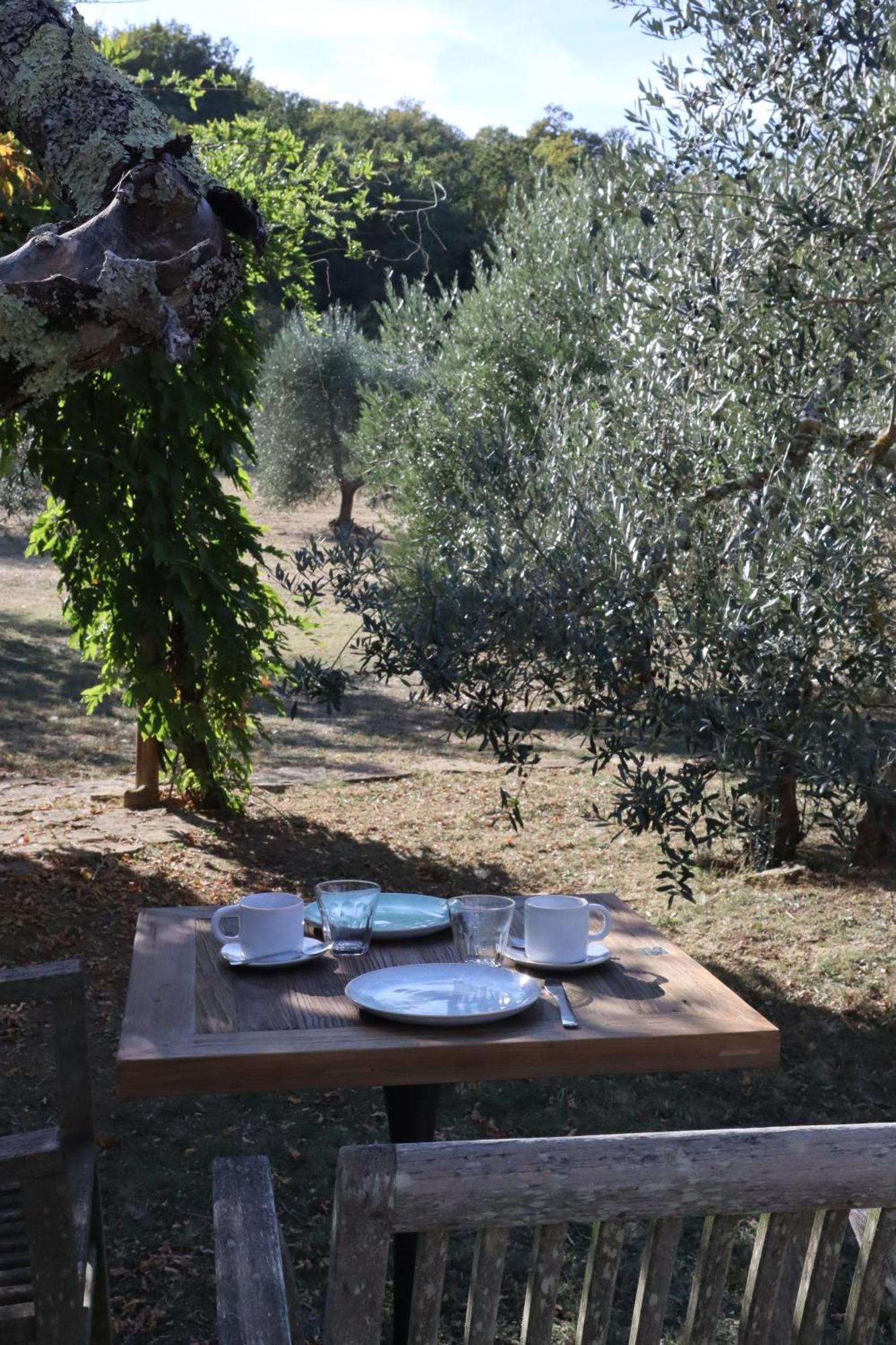 Abbadia Wine Relais Bed & Breakfast Montefollonico Exterior photo