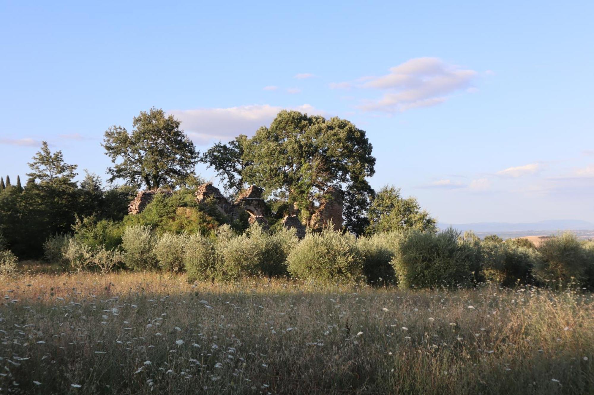 Abbadia Wine Relais Bed & Breakfast Montefollonico Exterior photo